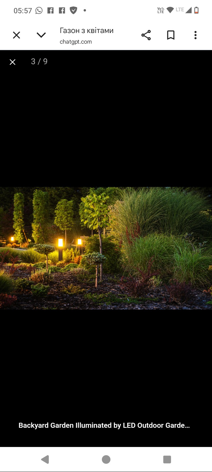 Oświetlony ogród z ozdobnymi trawami i drzewami, podświetlony ciepłym światłem lamp ogrodowych. Ujęcie nocne, podkreślające aranżację i atmosferę.