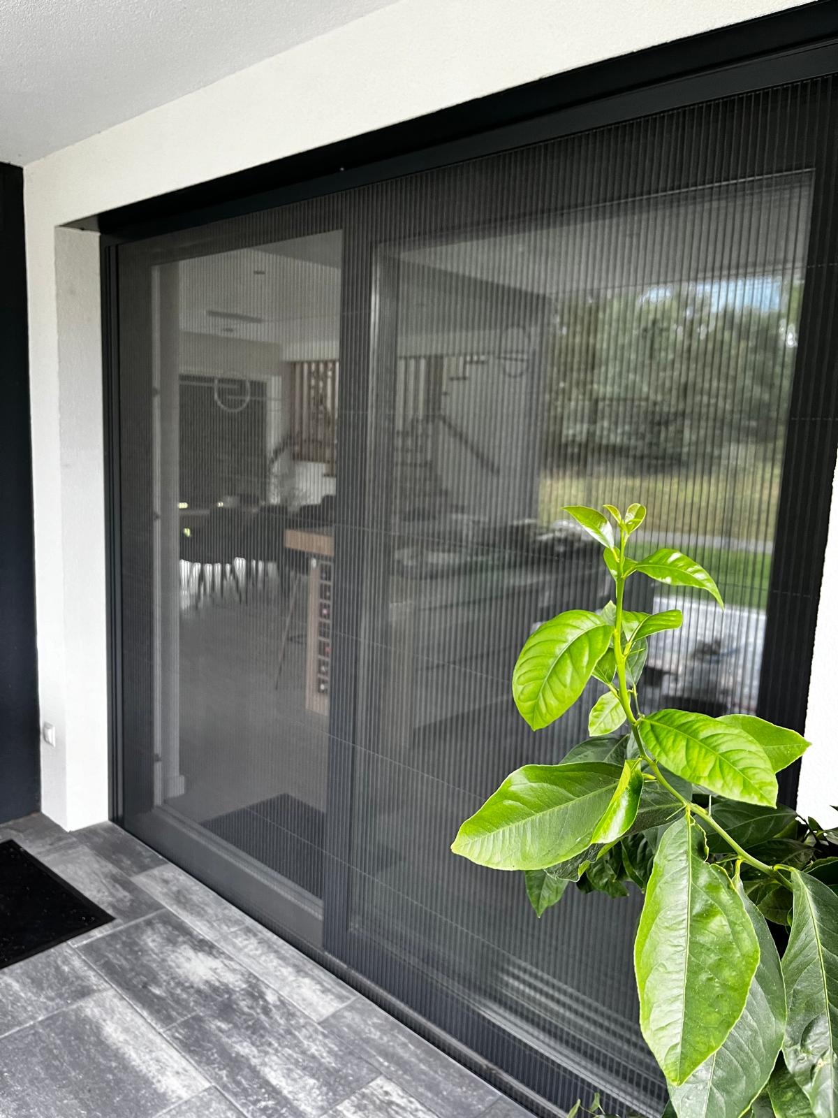Zamknięta, plisowana moskitiera w czarnej ramie, zamontowana na drzwiach tarasowych. Na pierwszym planie roślina doniczkowa z zielonymi liśćmi. Widok na wnętrze domu i ogród.