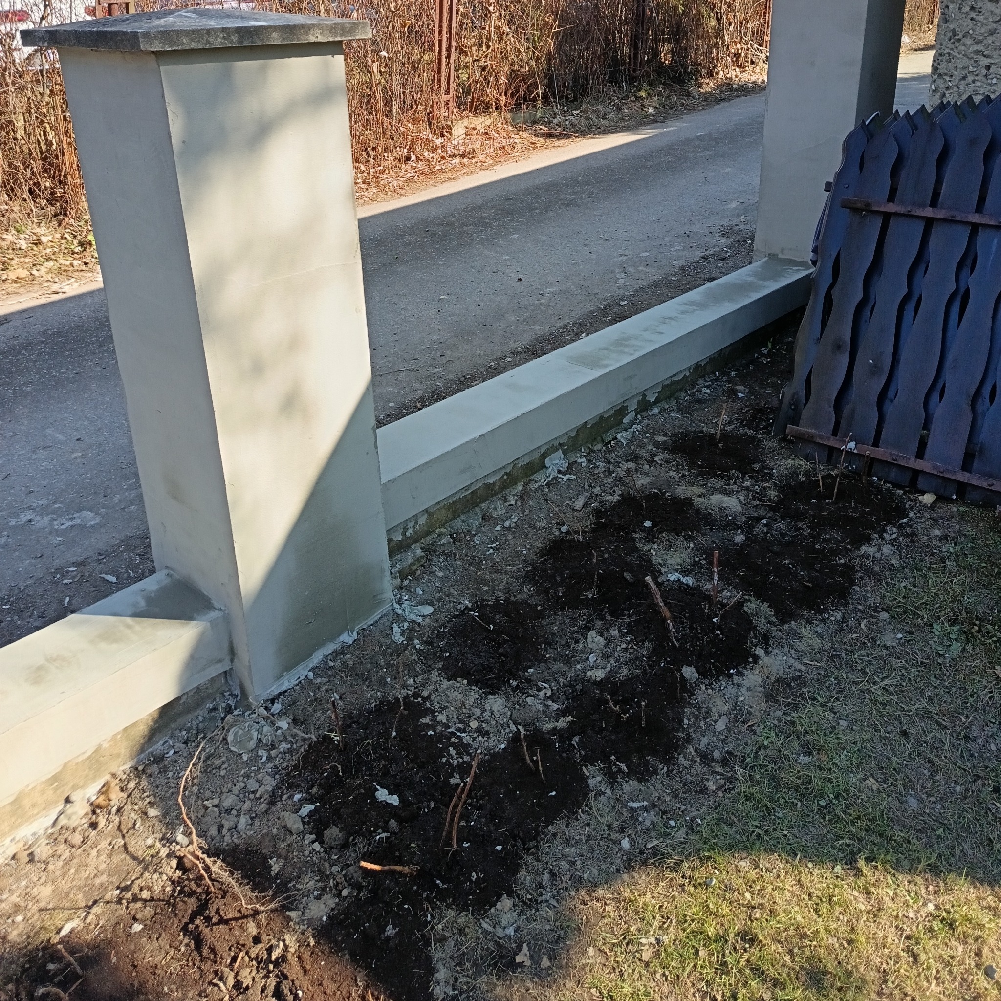 Świeżo otynkowane słupki i podmurówka ogrodzenia, z przygotowanym miejscem do nasadzeń roślin. Widoczne młode sadzonki w ziemi.