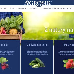BossCats - Strona internetowa firmy Agrosik z motywem naturalnych produktów. Widoczne menu, logo i sekcje z opisem jakości, doświadczenia i pewności oferowanych produktów.