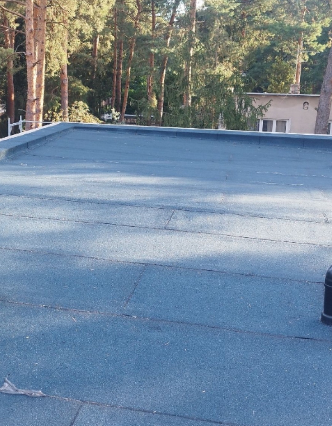 Niebieski, płaski dach pokryty papą termozgrzewalną na tle drzew i budynku. Widoczne łączenia papy. Ujęcie z góry, podkreślające strukturę i kolor pokrycia.