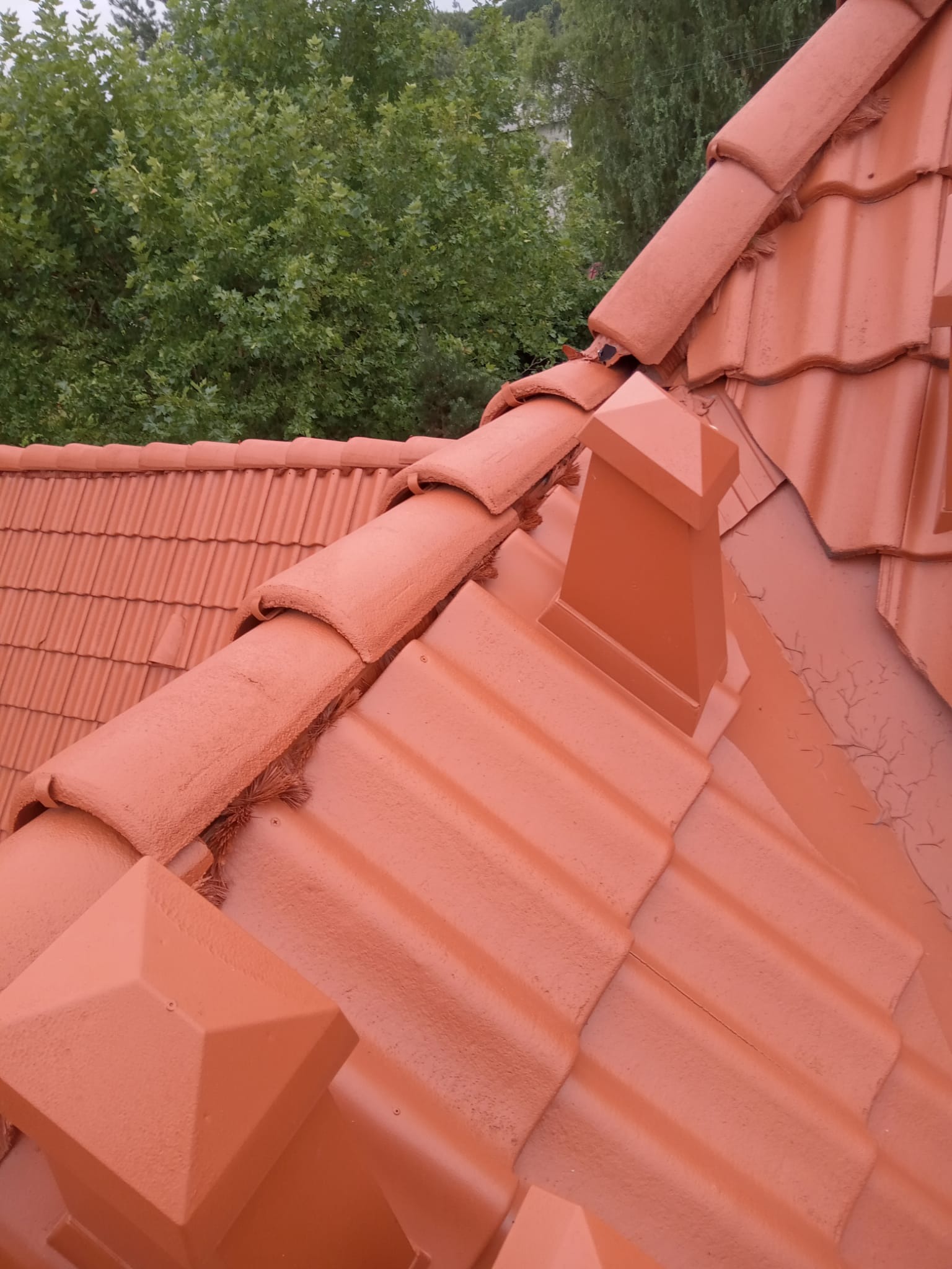 Czerwona dachówka ceramiczna z kominem na tle zieleni. Widoczne ślady pęknięć farby na powierzchni dachu. Ujęcie z góry, bliski plan.