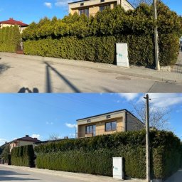 Green Sky Service - Zdjęcie 'przed i po' przedstawia dom z żywopłotem: bujny, nieprzycięty żywopłot przed domem i schludny, równo przycięty żywopłot po wykonanej usłudze ogrodniczej.