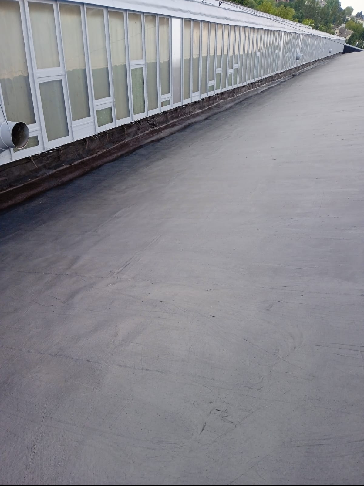 Szary, płaski dach pokryty papą, z widocznym systemem odprowadzania wody i oknami w tle. Widok z góry, ukazujący strukturę pokrycia dachowego.