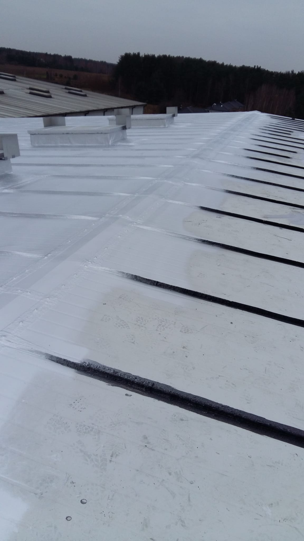 Biały, przemysłowy dach z czarnymi liniami i świetlikami, widoczne ślady stóp, w tle las i pochmurne niebo. Ujęcie z góry.