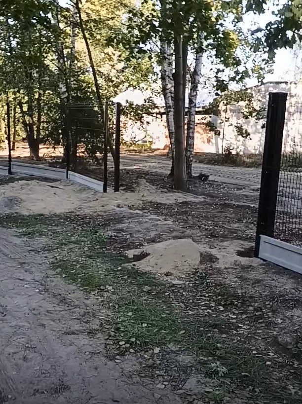 Fragment montażu ogrodzenia z siatki leśnej na betonowej podmurówce, widoczne słupki i piasek. Tło stanowią drzewa i budynek.