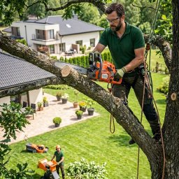 Maciej and - Arborysta w uprzęży tnie gałąź piłą spalinową Husqvarna. W tle dom, trawnik, drugi pracownik z rozdrabniaczem gałęzi i kosiarka. Bezpieczeństwo i profesjonalizm.