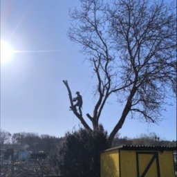 Usługi w ogrodzie Strzelce Krajeńskie