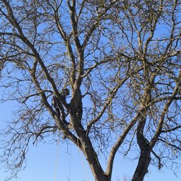 Usługi w ogrodzie Strzelce Krajeńskie