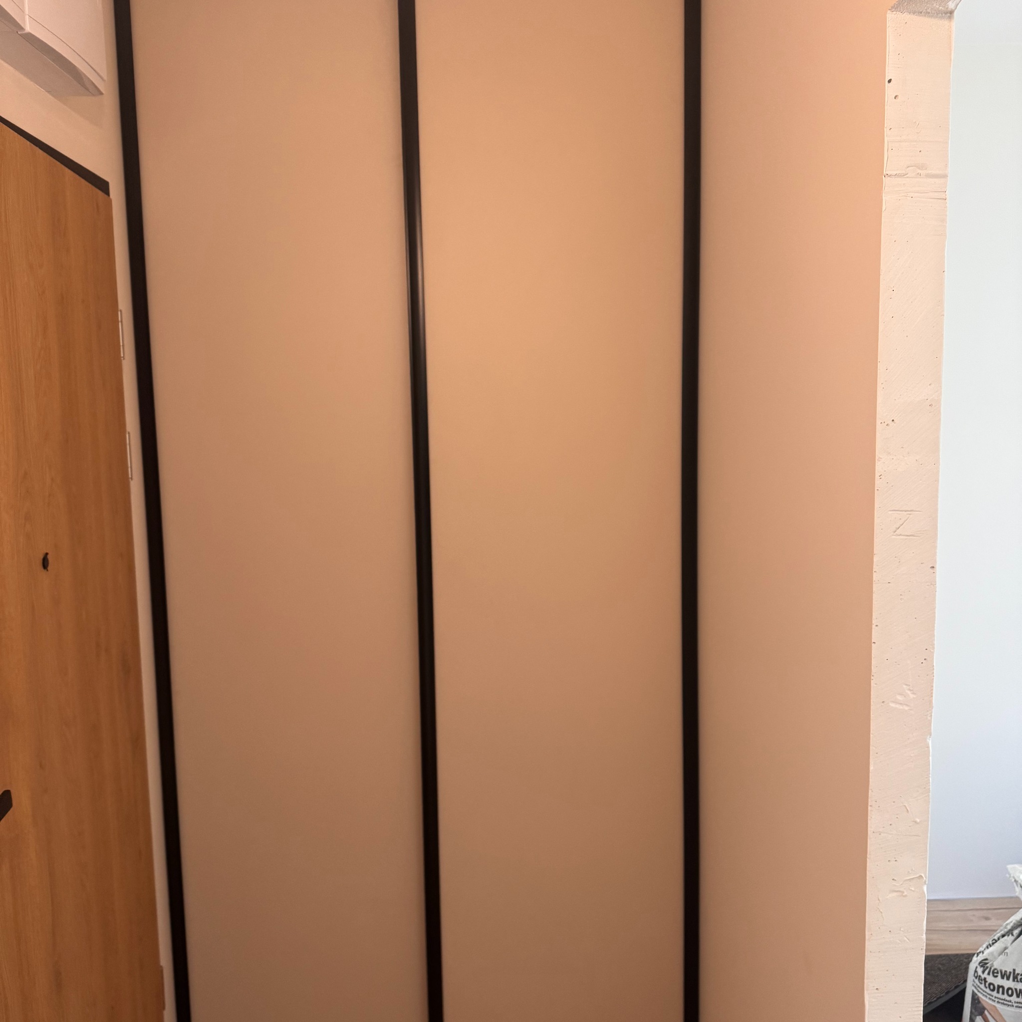 Beżowa szafa przesuwna z czarnymi ramami, widoczna z bliska, z fragmentem drewnianych drzwi po lewej stronie i surową ścianą po prawej. Minimalistyczny design.