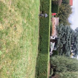 Trawa z rolki Węglowice 2