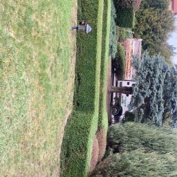 Trawa z rolki Węglowice 3