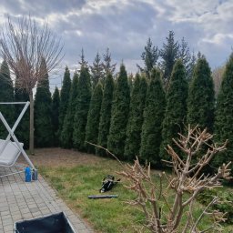 Pielęgnacja ogrodów Łomża 2