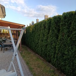 Pielęgnacja ogrodów Łomża 4