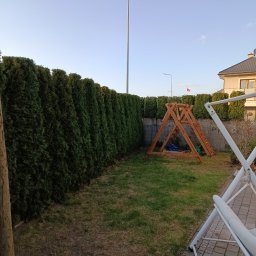 Czysty Błysk Anna Ostaszewska - Zadbany ogród z równo przyciętym żywopłotem z tui, drewnianym placem zabaw i huśtawką. Widoczne oświetlenie i fragment domu w tle.