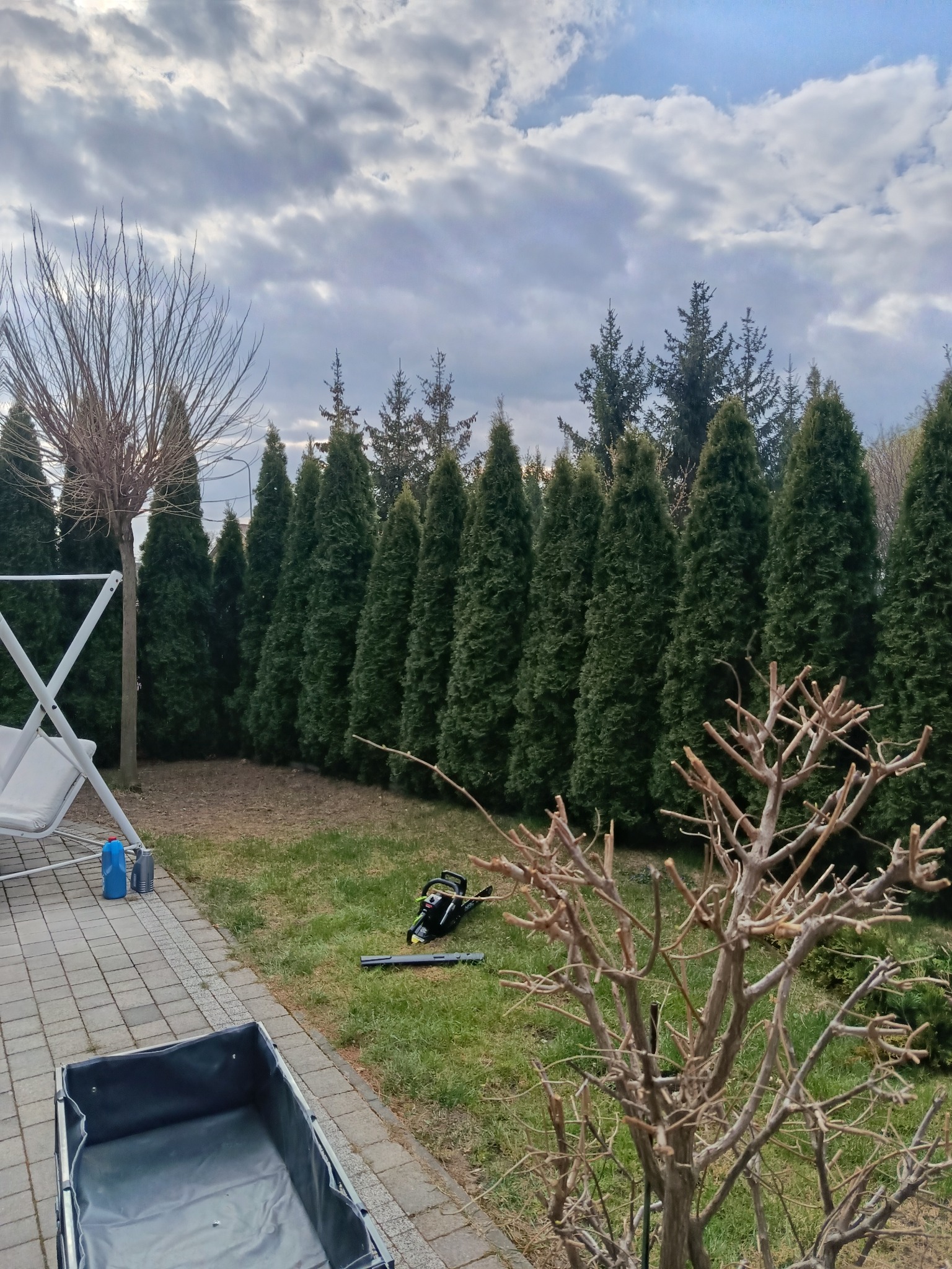 Przycięte drzewo na trawniku, obok leży piła łańcuchowa. W tle rząd tuj i pochmurne niebo. Widoczny wózek ogrodowy i huśtawka.