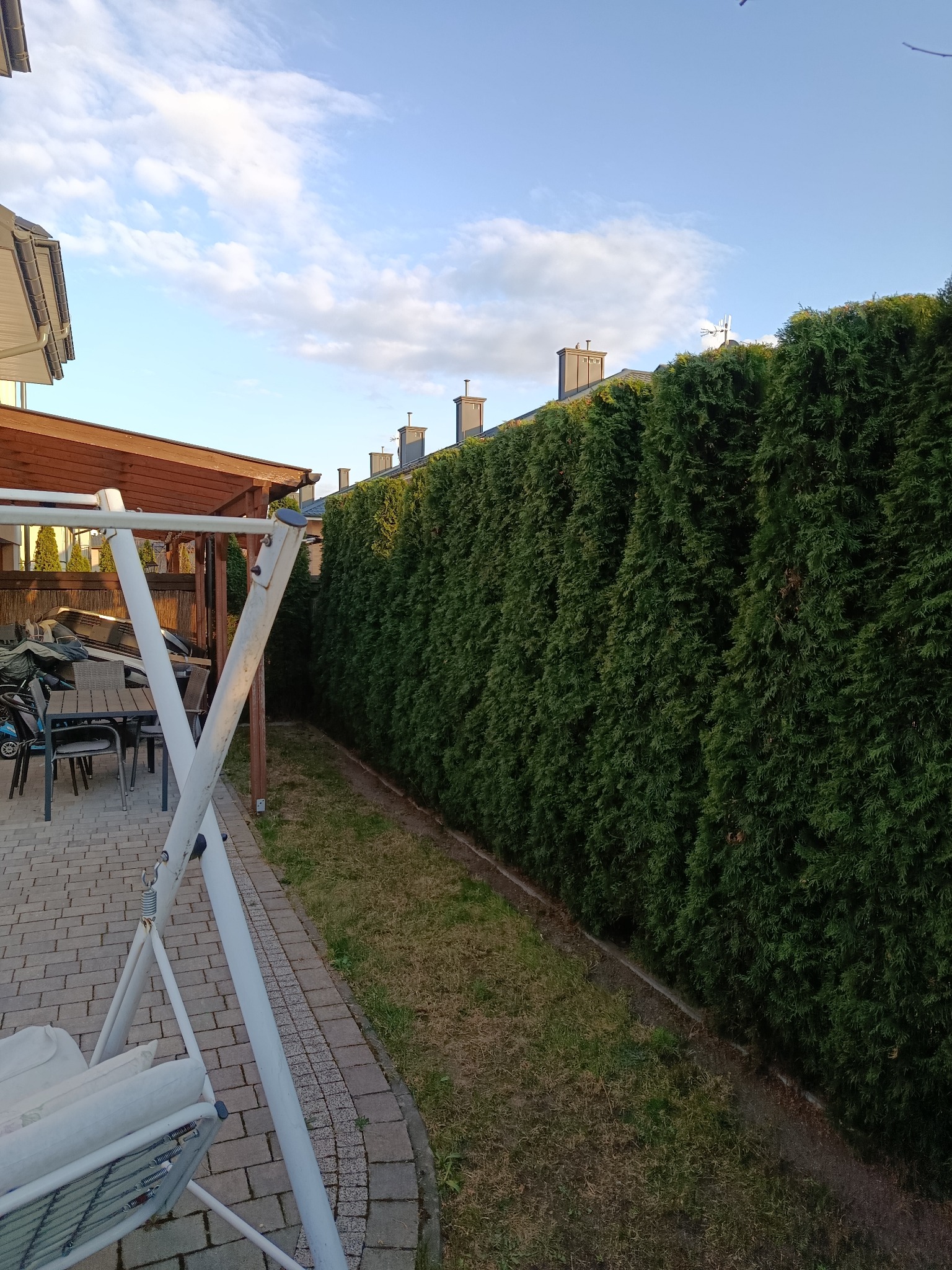 Gęsty, zielony żywopłot z tui szmaragd, oddzielający posesję. Widok z patio z meblami ogrodowymi i huśtawką. Błękitne niebo z chmurami w tle.
