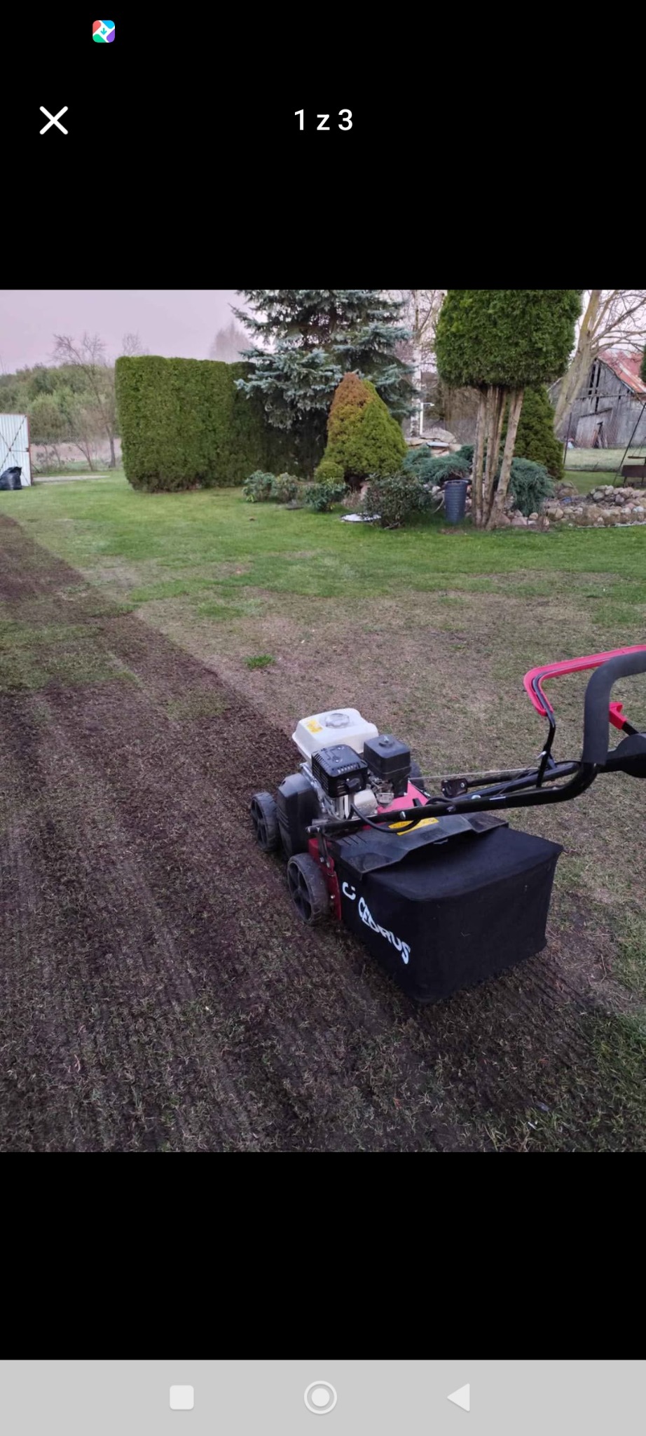 Aerator spalinowy na trawniku po aeracji. Widoczne rzędy nakłuć w darni, w tle zadbany ogród z tujami i drzewami iglastymi. Urządzenie marki Cedrus.