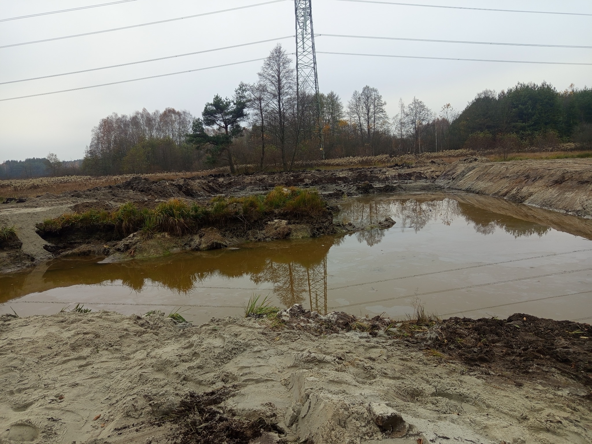 Wykopany staw z wodą, otoczony ziemią i roślinnością, w tle las i słup wysokiego napięcia. Prace ziemne w terenie podmokłym, widoczne ślady maszyn.