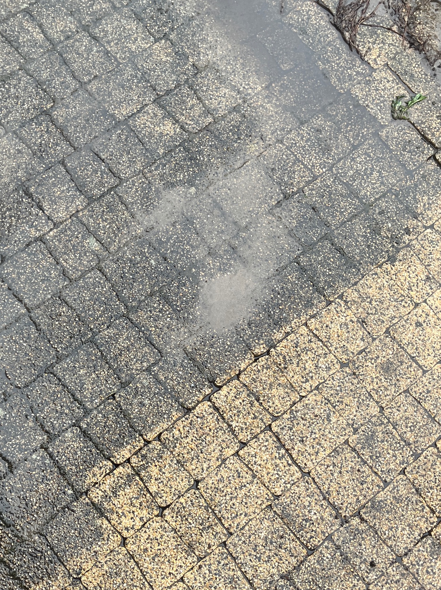 Częściowo umyta kostka brukowa, widoczna różnica w kolorze i czystości. Górna część mokra, ciemniejsza, dolna sucha, jaśniejsza. Układ kostki w jodełkę.