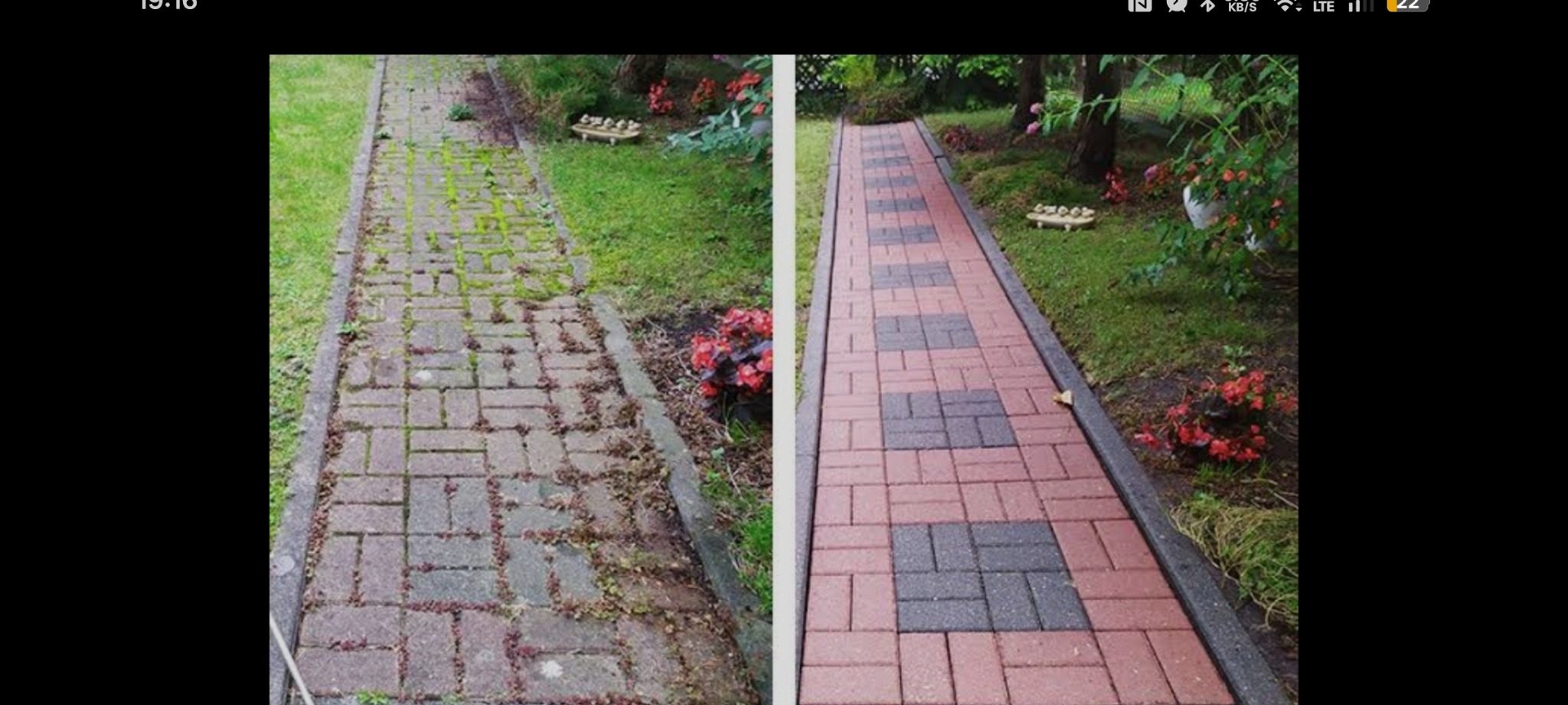 Efekt przed i po: Zarośnięta kostka brukowa vs. czysta, czerwono-szara ścieżka w ogrodzie, otoczona zielenią i kwiatami. Widoczne różnice w kolorze i strukturze.