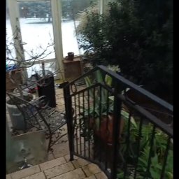 Krystian Lewandowski - Przed porządkami ogrod calo roczny ogrzewany