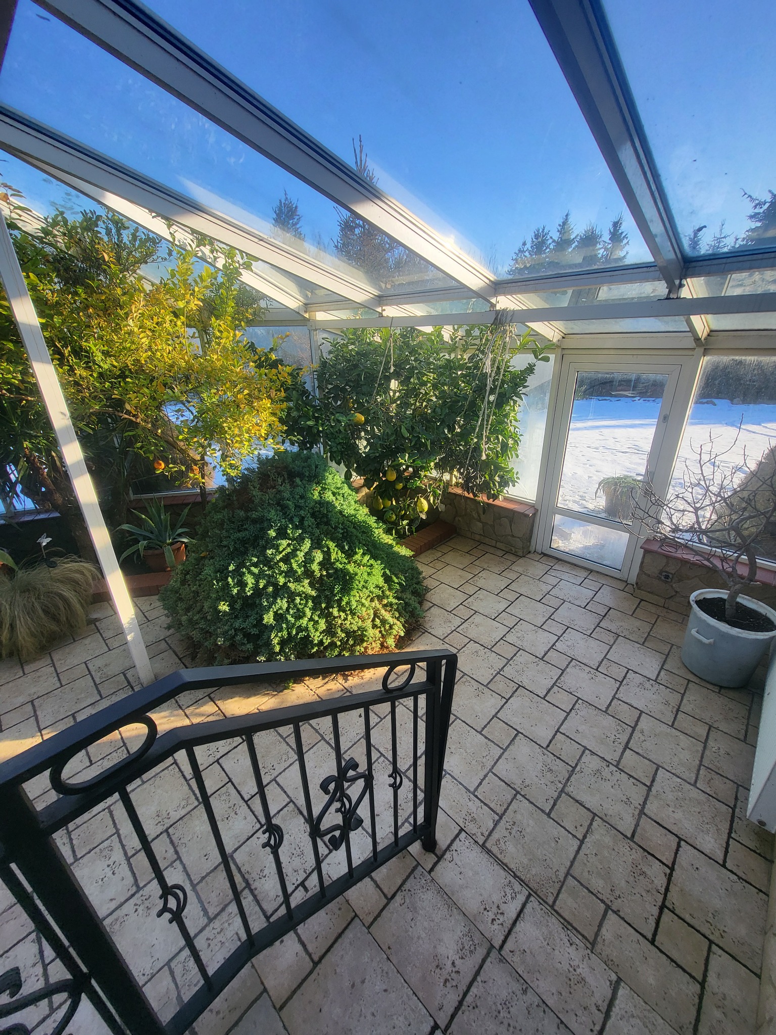 Ogrzewany całoroczny ogród zimowy z cytrynowymi drzewkami, widok z góry schodów z czarną balustradą. Za szklanymi drzwiami śnieżny krajobraz.