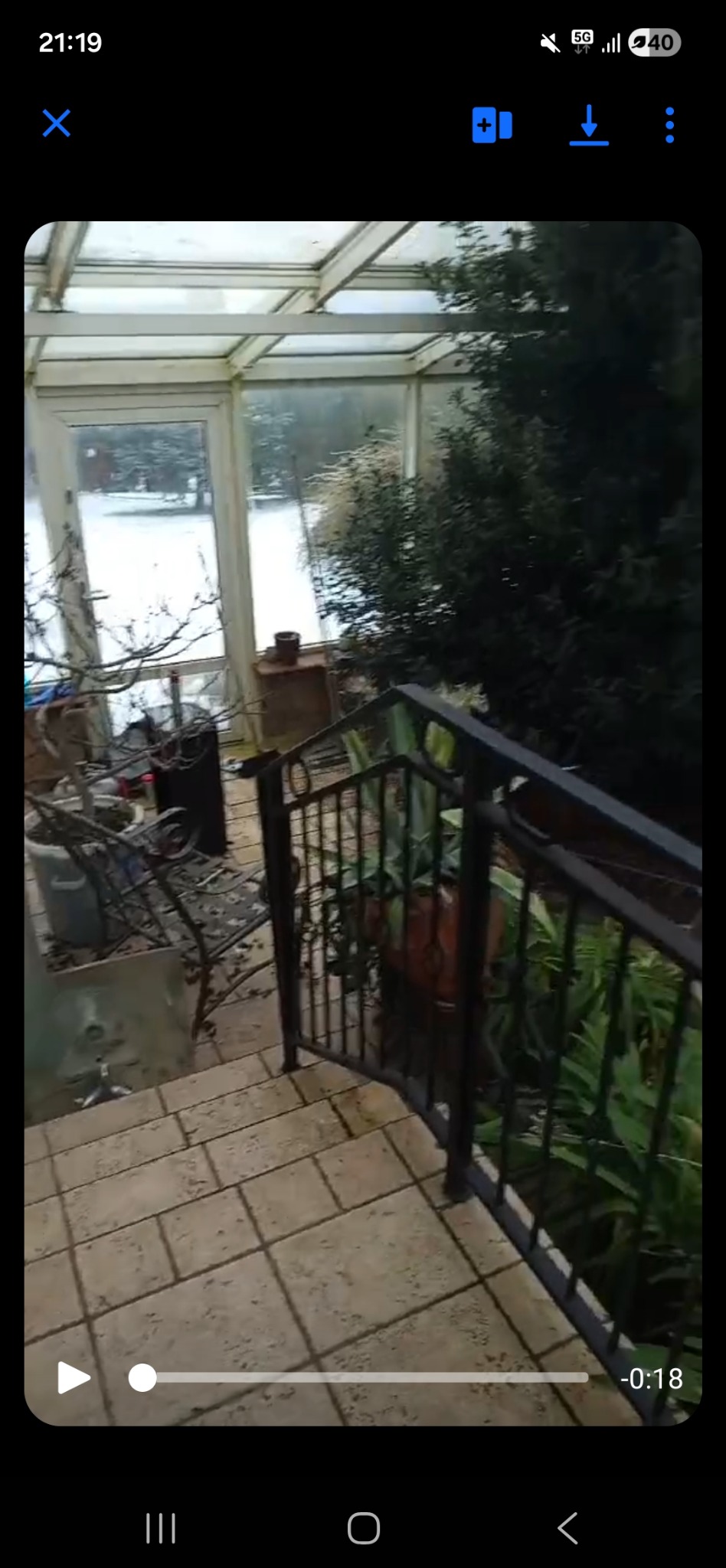 Przed porządkami ogrod calo roczny ogrzewany