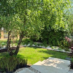 Nel ogrody sp zoo - Urokliwy ogród z zielonym trawnikiem, ozdobnym drzewem, rabatami z białym kamieniem i roślinami w donicach, tworzący harmonijną przestrzeń.