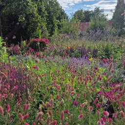 Nel ogrody sp zoo - Kwitnący, kolorowy ogród w Przywidzu, pełen różnorodnych kwiatów i roślin. Widoczne drzewa owocowe i elementy architektury ogrodowej w tle.
