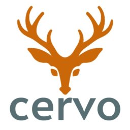 CERVO SPÓŁKA CYWILNA KAMIL GRĘDA, JAKUB BOGOŁĘBSKI, ALEKSANDER KARLIŃSKI - Logo CERVO