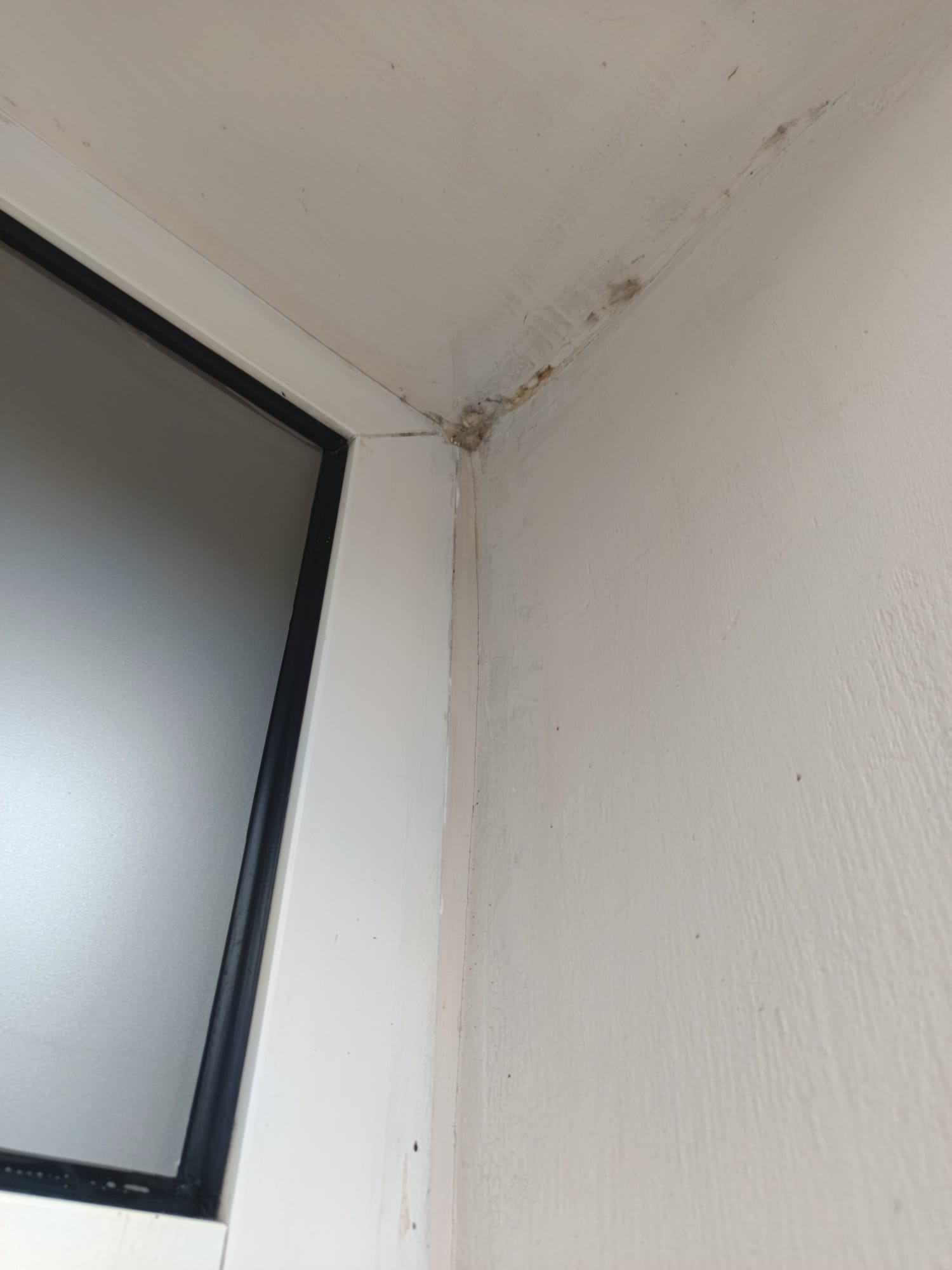 Brudny narożnik okna z widocznymi zabrudzeniami i pleśnią na ścianie. Widok z bliska, ukazujący zaniedbaną ramę okienną i przyległą ścianę.