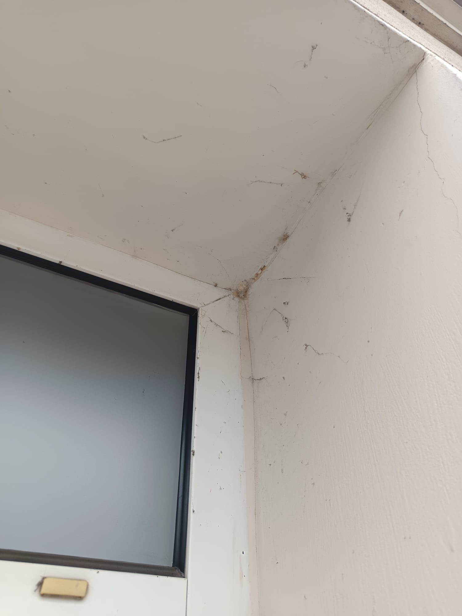 Brudny narożnik okna z pajęczynami i kurzem na ścianie. Widoczne zabrudzenia na ramie okiennej i ścianie. Potrzeba gruntownego czyszczenia.