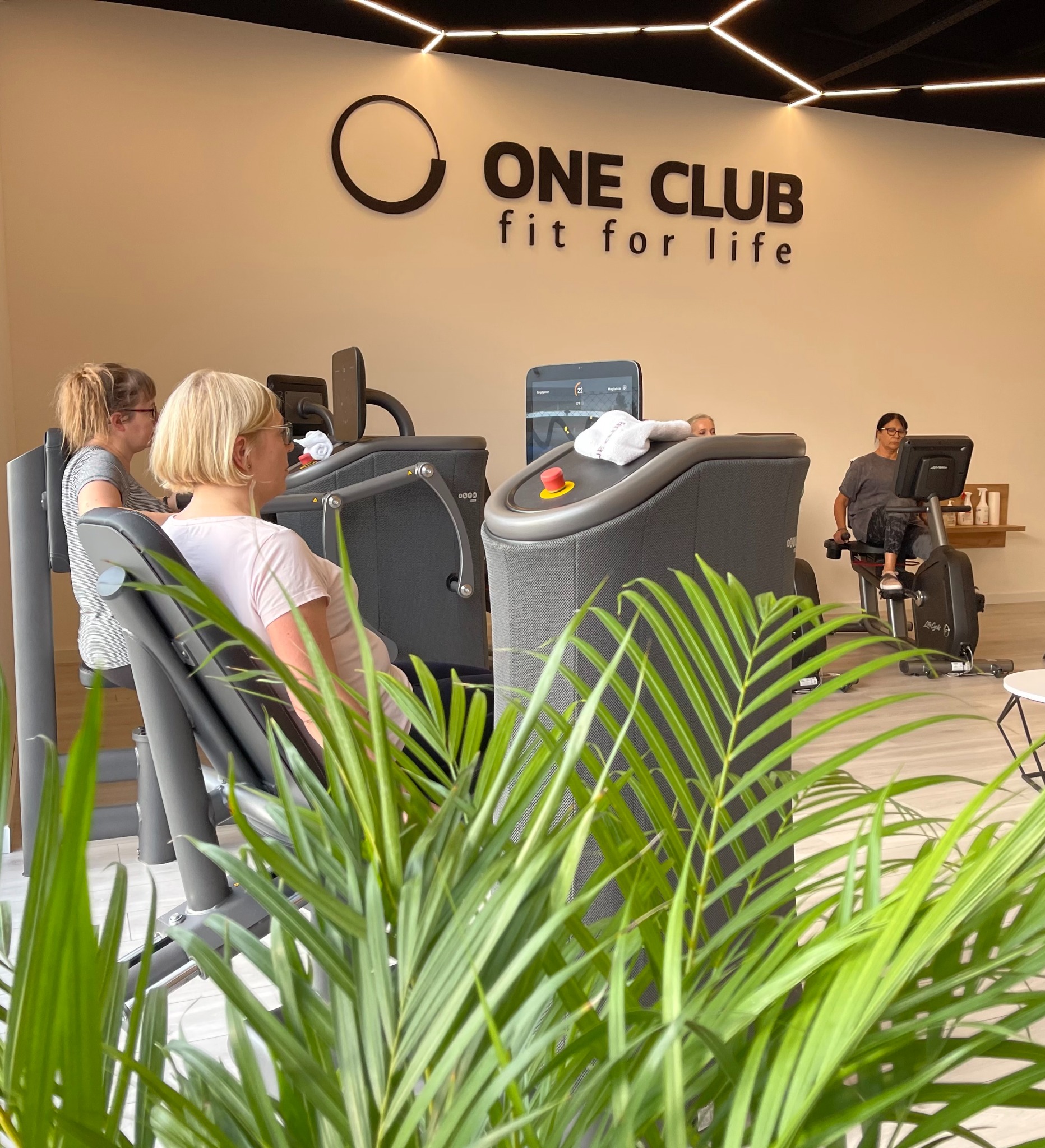 ONE CLUB - Trening obwodowy Egym