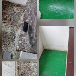 DDD Hunter Joanna Czarkowska - Czyszczenie i dezynfekcja pomieszczenia: szczotka na zabrudzonej powierzchni, obok czysty, zielony fragment podłogi. Widoczne ślady po ptasich odchodach i inne zanieczyszczenia.