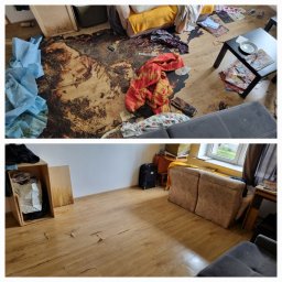 Dezynsekcja i deratyzacja Katowice 3