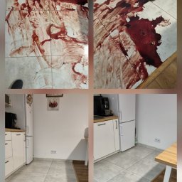 Dezynsekcja i deratyzacja Katowice 4