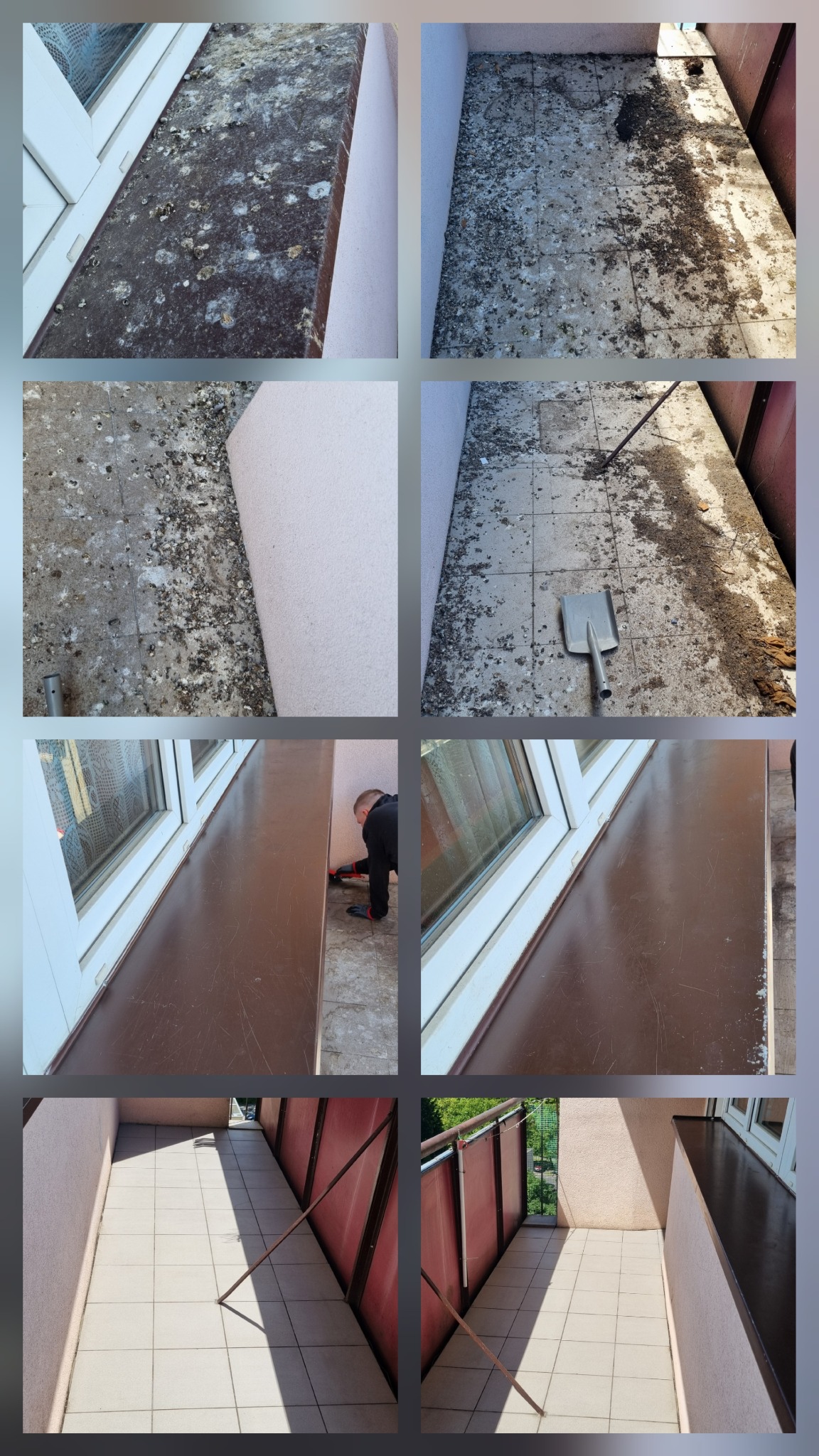 Czyszczenie balkonu z ptasich odchodów: widok przed, w trakcie i po sprzątaniu. Szufelka, pracownik w rękawicach, czysta powierzchnia płytek.