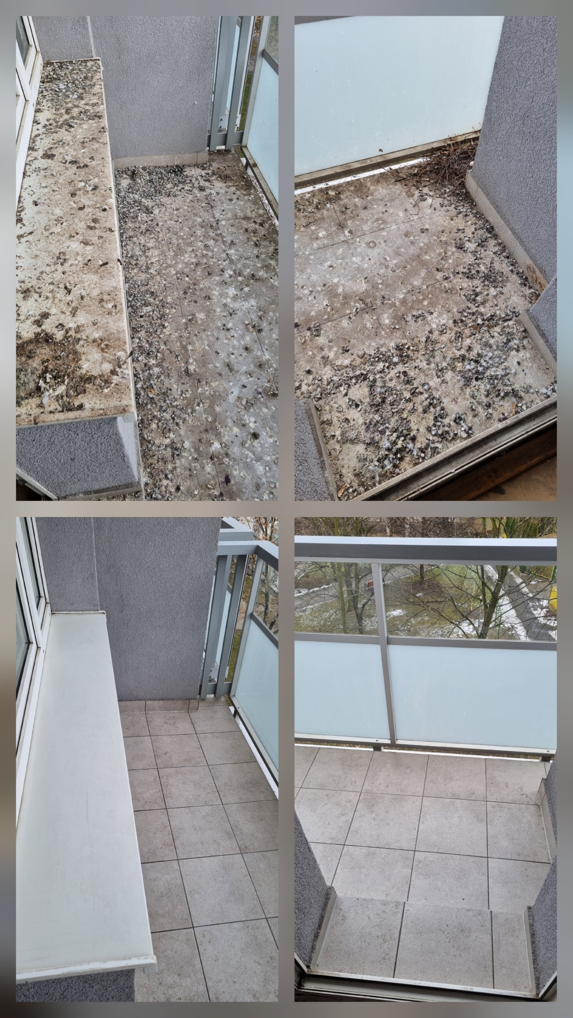 Kolaż balkonu przed i po czyszczeniu z ptasich odchodów. Widoczne zabrudzenia na podłodze i parapecie, a następnie czysta powierzchnia po usunięciu zanieczyszczeń.