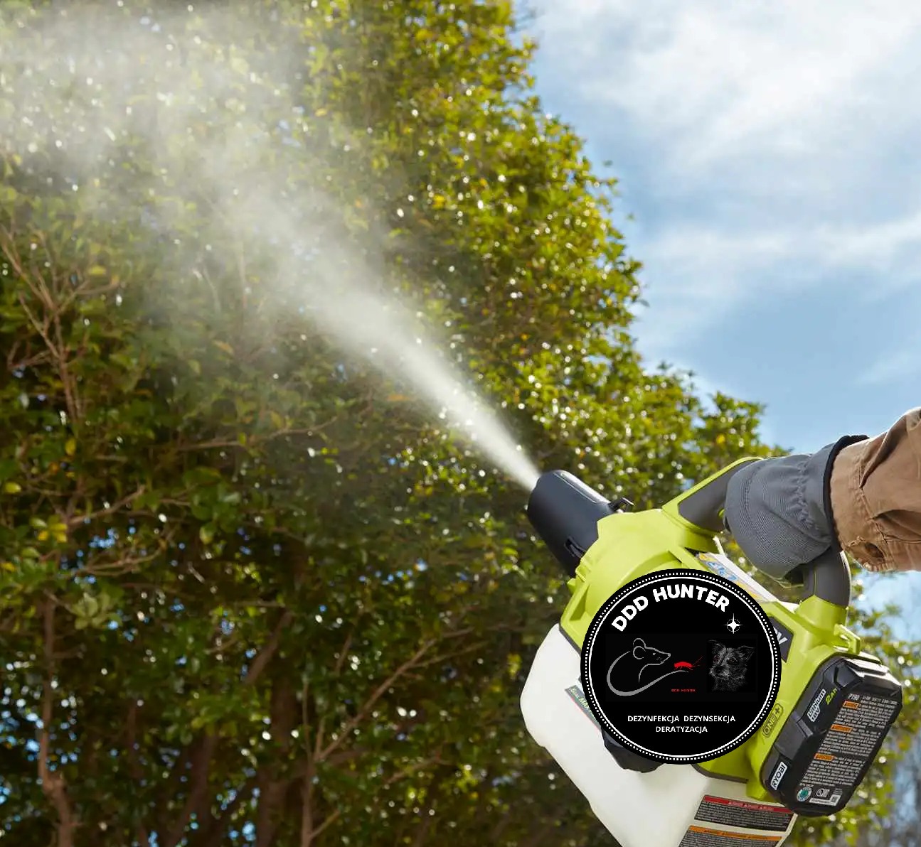 Dezynfekcja krzewu w Katowicach. Oprysk z użyciem zamgławiacza akumulatorowego Ryobi. Widoczny operator w rękawicy i logo firmy DDD Hunter.