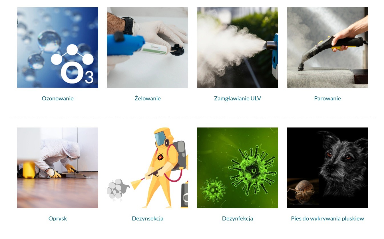 Zestawienie metod: ozonowanie, żelowanie, zamgławianie ULV, parowanie, oprysk, dezynsekcja (grafika), dezynfekcja (grafika), pies do wykrywania pluskiew.