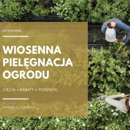 Projektowanie ogrodów Siemianowice Śląskie 3