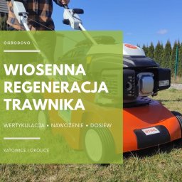 Projektowanie ogrodów Siemianowice Śląskie 1