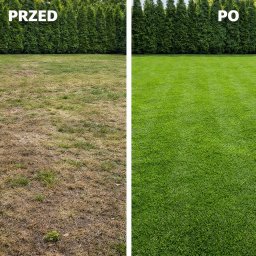 Projektowanie ogrodów Siemianowice Śląskie 2