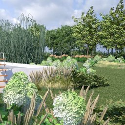 OneDesign Patrycja Oczoś - Projekt ogrodu z basenem: białe hortensje, wysokie trawy ozdobne i drzewa tworzą harmonijną całość. Widoczna drabinka do basenu i metalowa konstrukcja w tle.