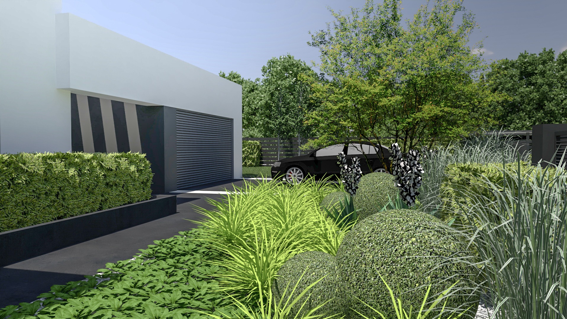 Wizualizacja ogrodu nowoczesnego domu z kulistymi krzewami, trawami ozdobnymi i żywopłotem. W tle zaparkowany samochód i drzewa.
