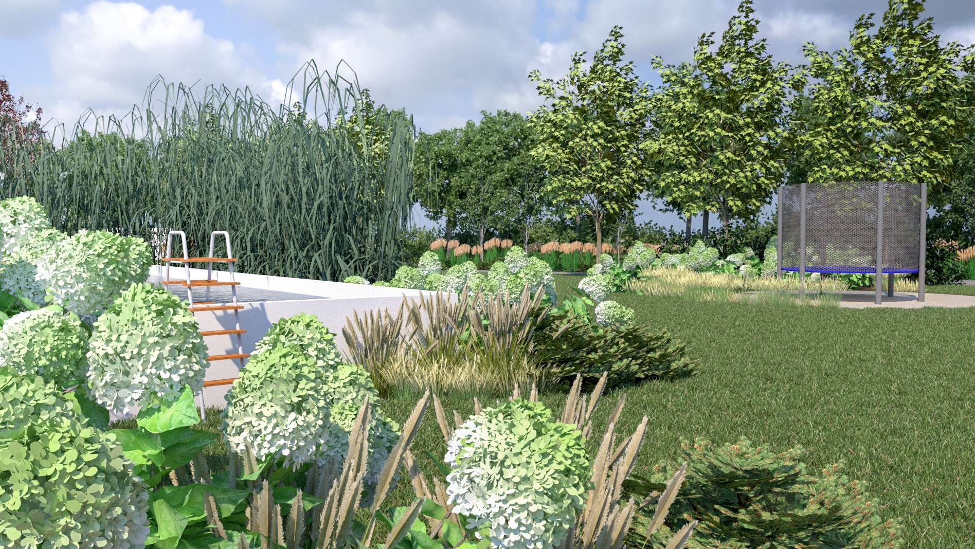 Projekt ogrodu z basenem: białe hortensje, wysokie trawy ozdobne i drzewa tworzą harmonijną całość. Widoczna drabinka do basenu i metalowa konstrukcja w tle.