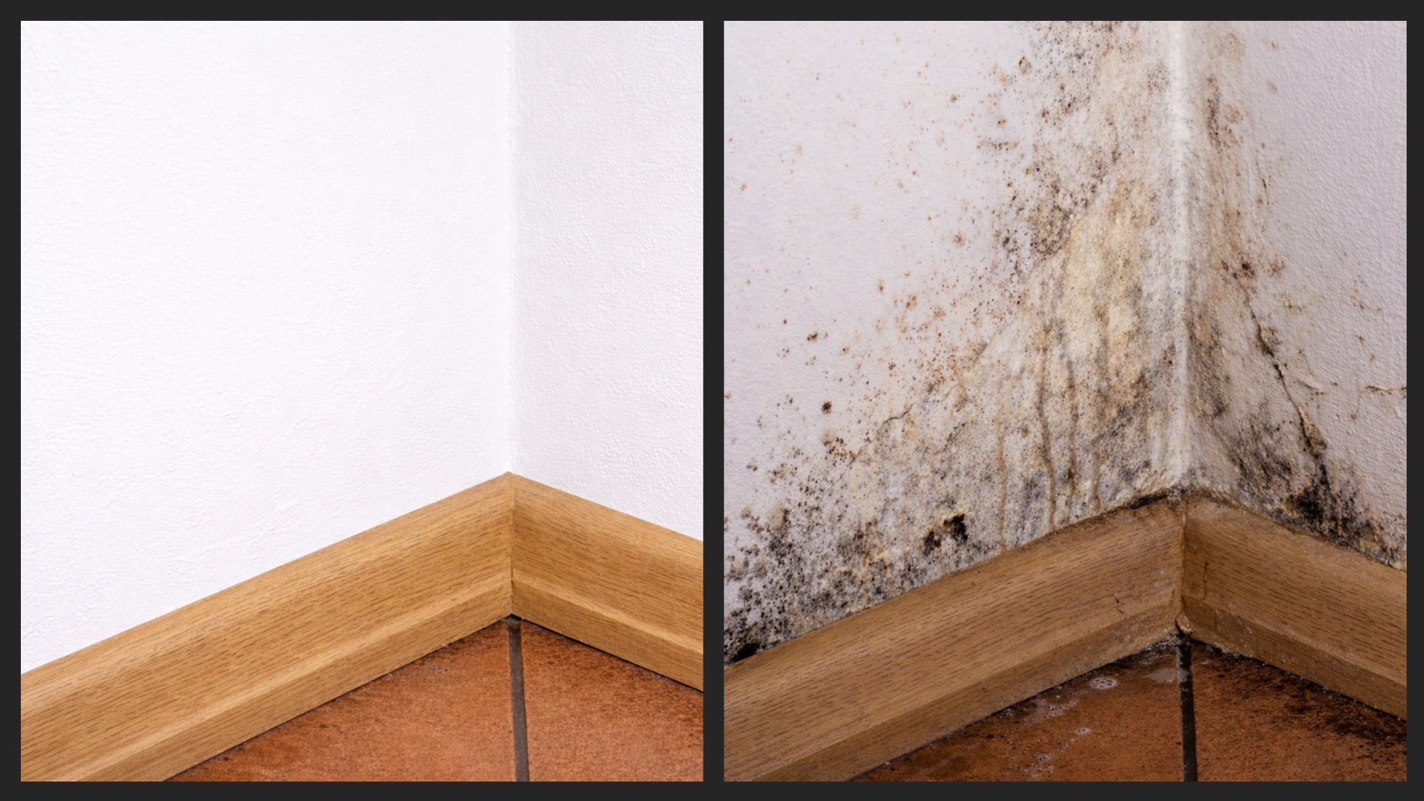 Ściana przed i po osuszaniu: po lewej czysta, biała ściana z brązową listwą przypodłogową, po prawej zagrzybiona ściana z widocznymi plamami pleśni i wilgoci.