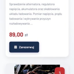 CodeSpliter - Strona internetowa z ofertą diagnostyki układu ładowania pojazdu. Na dole zdjęcie z pomiaru parametrów za pomocą urządzenia diagnostycznego.