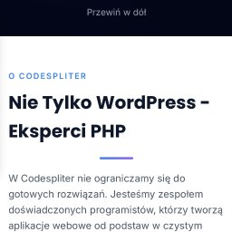 CodeSpliter - Rezerwacja terminów , super ceny , szybka realizacja